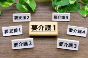 【2024年度版】介護サービス利用の流れと介護保険サービスを利用する前に知っておきたい情報を表す画像