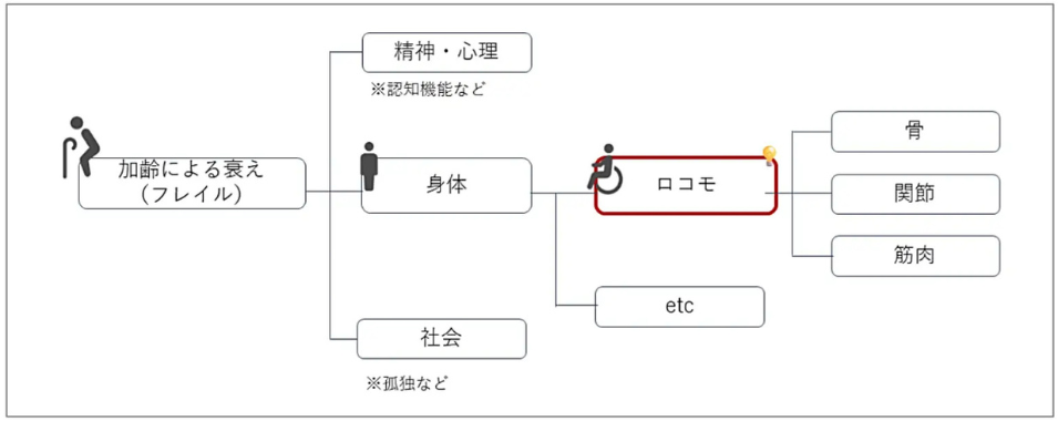 フレイルの説明