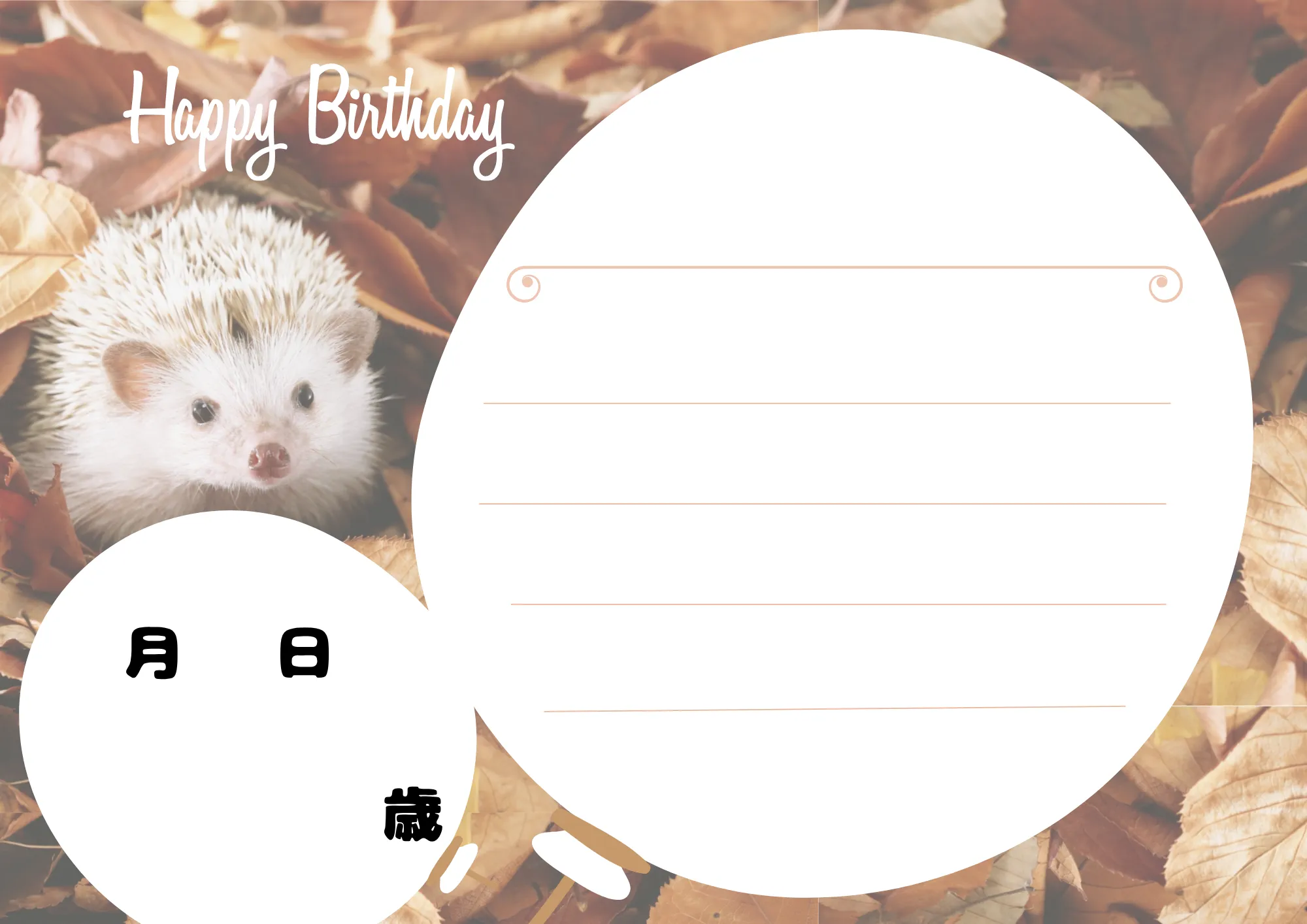 お誕生日カード